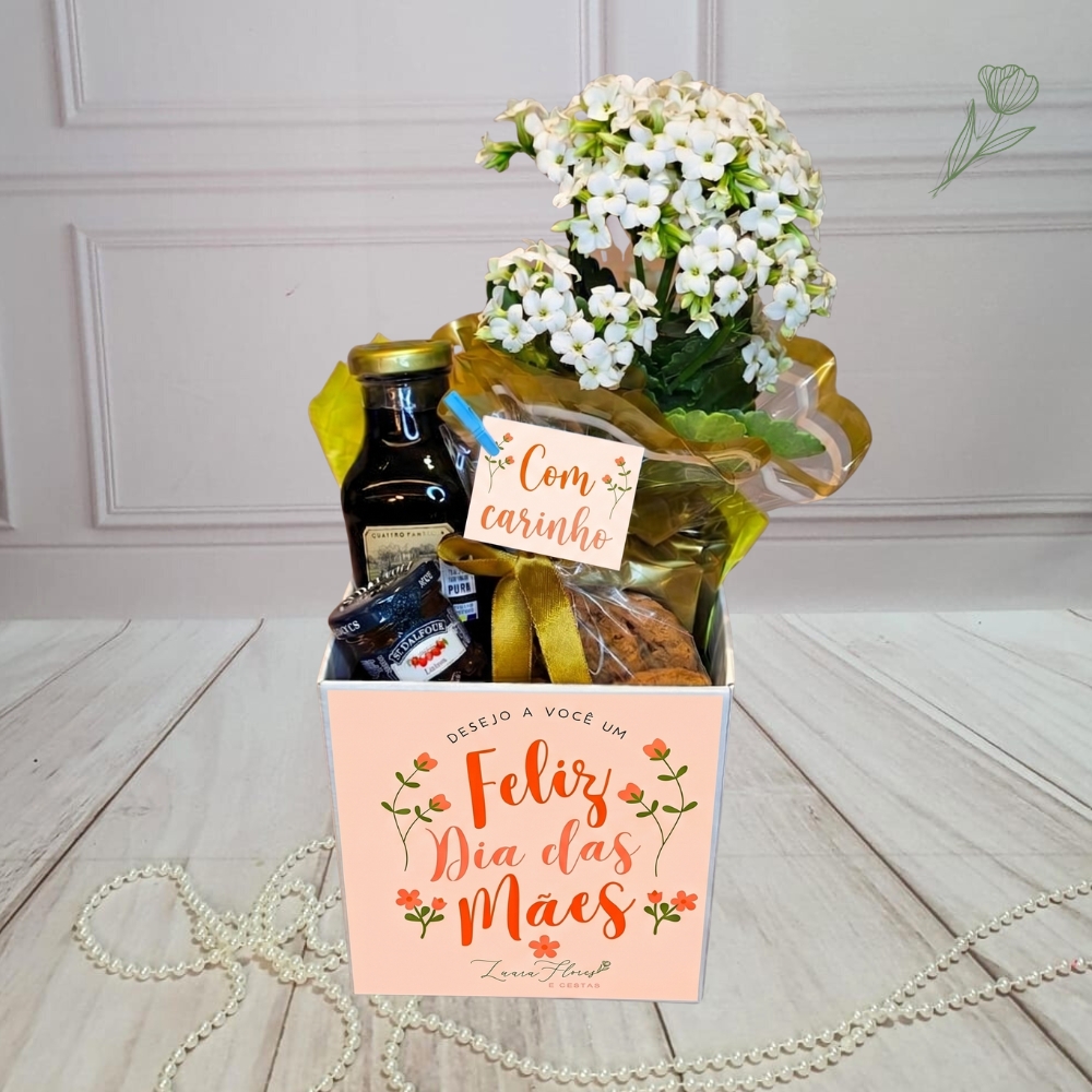 Box Elegance Ref 046Ma