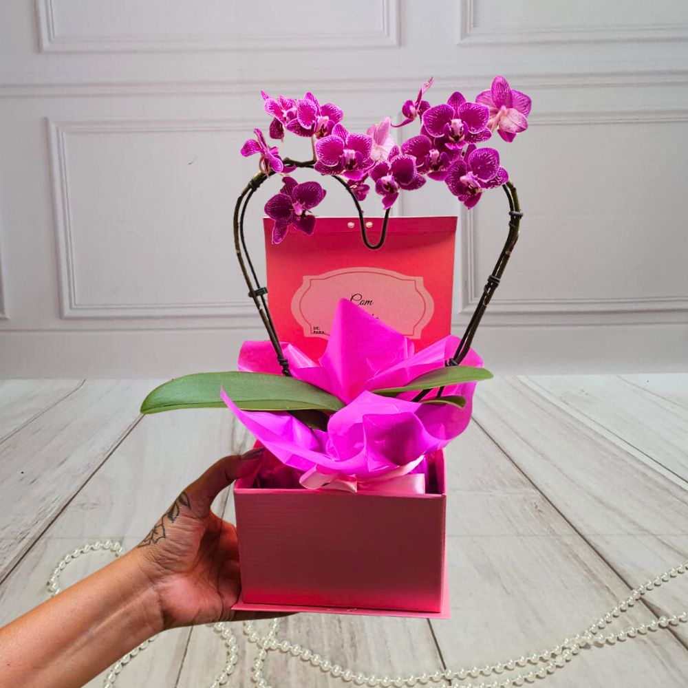 Box Mini Cora��o Ref 1580